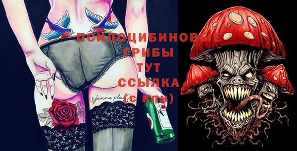 молекула духа Балахна