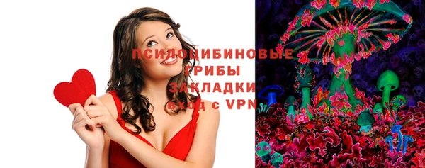 молекула духа Балахна