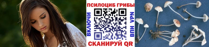 Псилоцибиновые грибы мухоморы  купить   Чистополь 